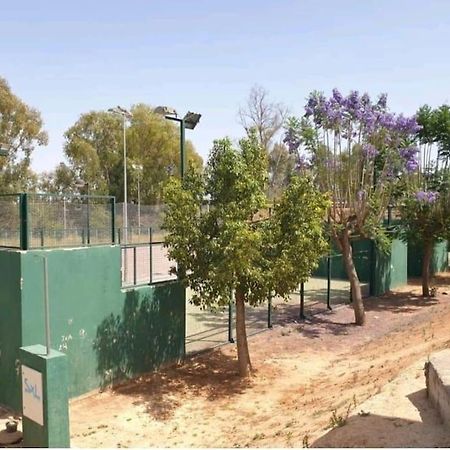 Alojamiento Con Piscina Y Parking En Sevilla La Algaba Dış mekan fotoğraf